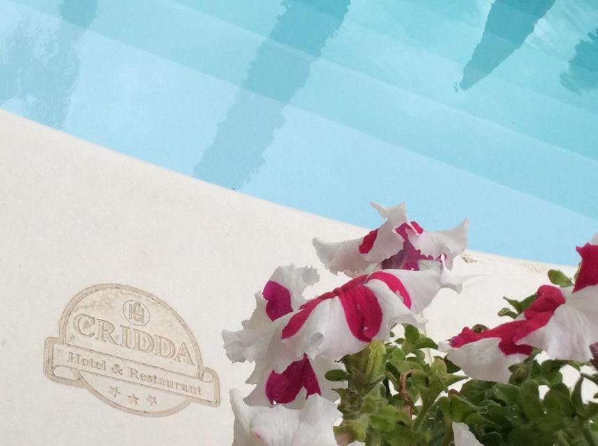 Cridda Hotel & Restaurant Gizzeria Exterior photo